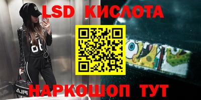 эйфоретик Берёзовский