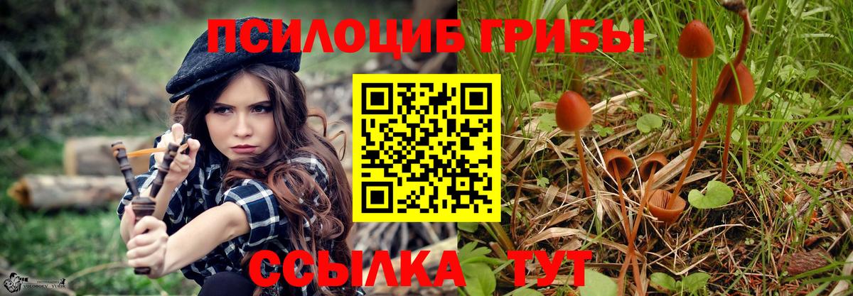 Псилоцибиновые грибы MAGIC MUSHROOMS Ковров